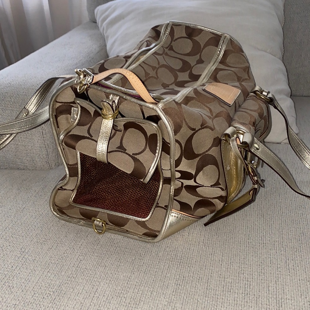 Coach dog bag